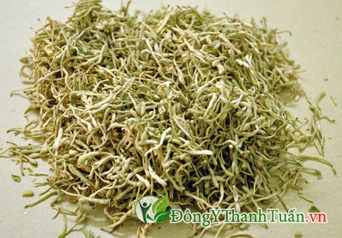 Chữa mụn nhọt bằng hoa kim ngân Chữa mụn nhọt bằng hoa kim ngân