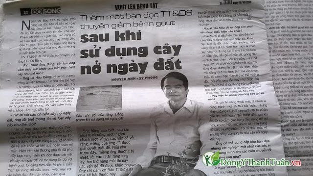 Báo chí về cây nở ngày đất Báo chí về cây nở ngày đất