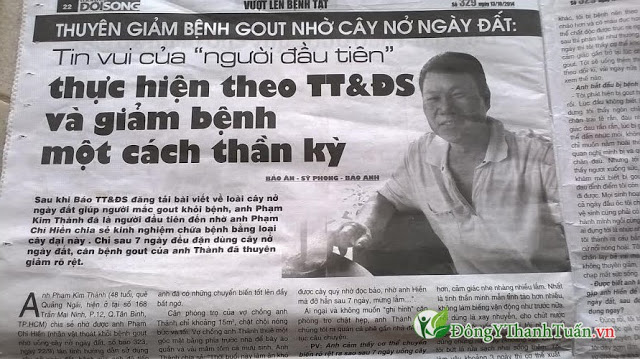Báo chí về cây nở ngày đất Báo chí về cây nở ngày đất