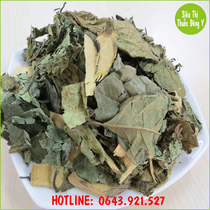 Cây Xạ Đen điều trị viêm gan Cây Xạ Đen điều trị viêm gan