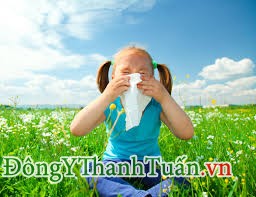 Phấn hoa cũng là nguyên nhân gây viêm mũi dị ứng ở trẻ em