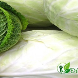 3 cách chữa bệnh đau dạ dày dân gian hiệu quả nhất