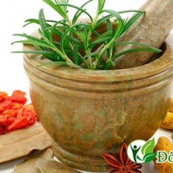 Ứng dụng bài thuốc nam chữa bệnh viêm chân răng