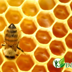 [Infographic] Tổng hợp những cách chữa hôi miệng bằng mật ong
