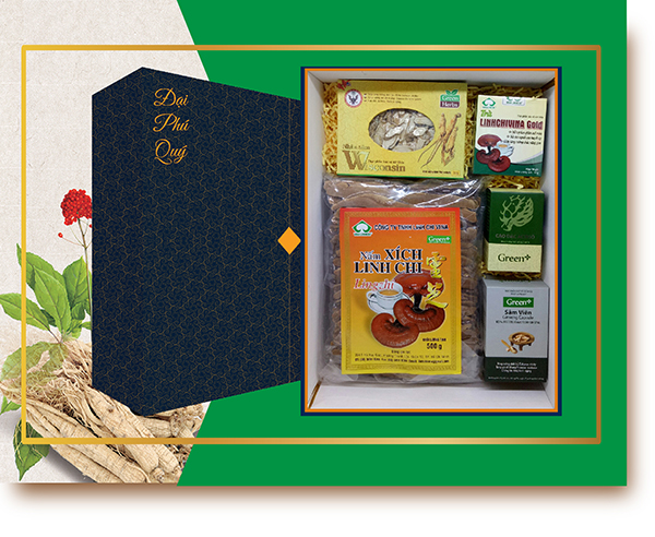 THANH TỴ LINH THANH TUẤN sâm viên wiscosin hoa kỳ