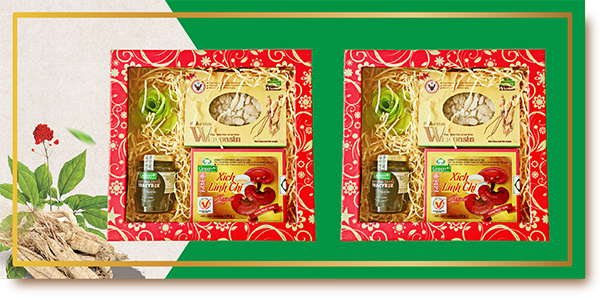 thanh tỵ linh thanh tuấn thanh tỵ linh thanh tuấn