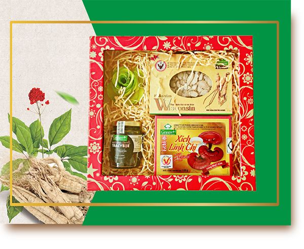 THANH TỴ LINH THANH TUẤN sâm viên wiscosin hoa kỳ