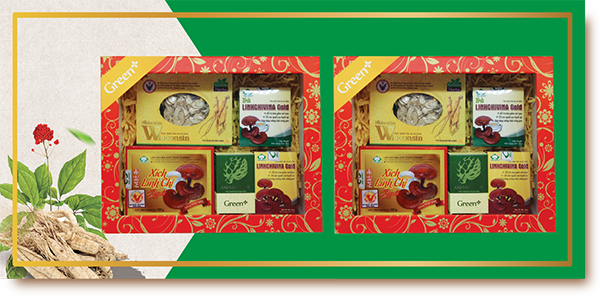 thanh tỵ linh thanh tuấn thanh tỵ linh thanh tuấn
