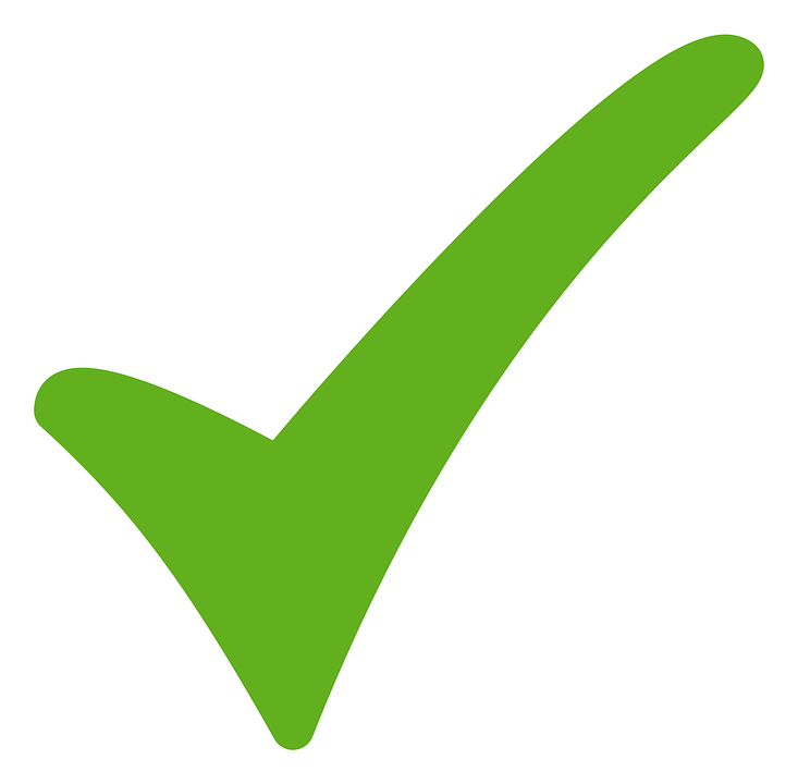 Check icon