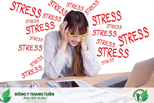 Stress là một trong nguyên nhân gây hội chứng ruột kích thích