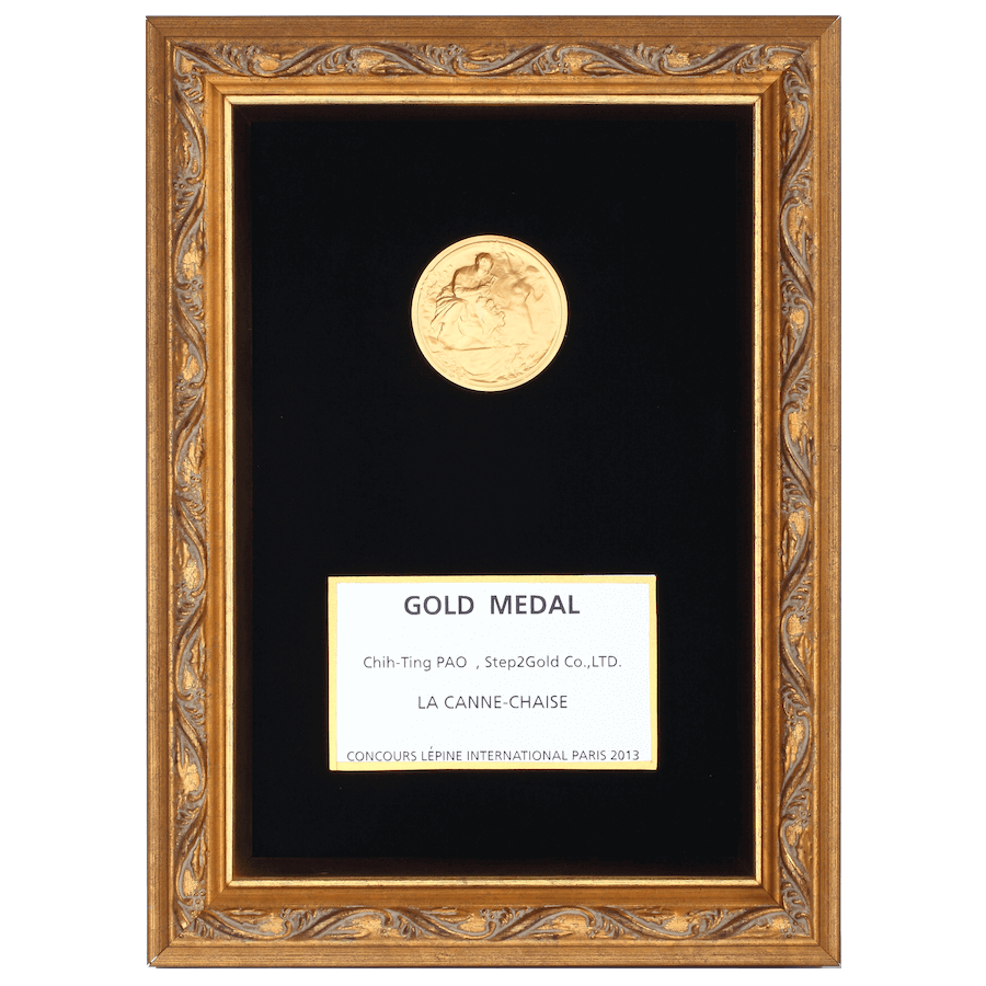2013 Geneva International Inventions-Gold Medal