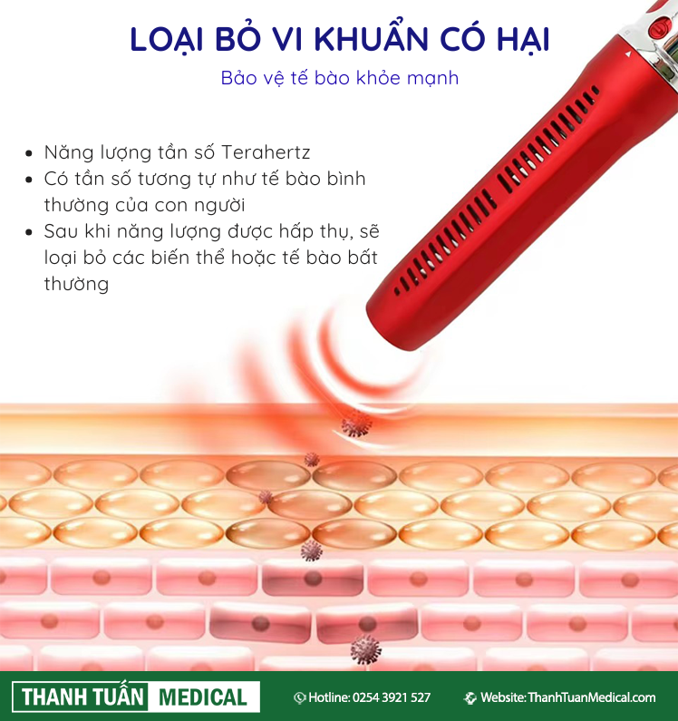 Hỗ trợ phục hồi và duy trì các tế bào khỏe mạnh Hỗ trợ phục hồi và duy trì các tế bào khỏe mạnh