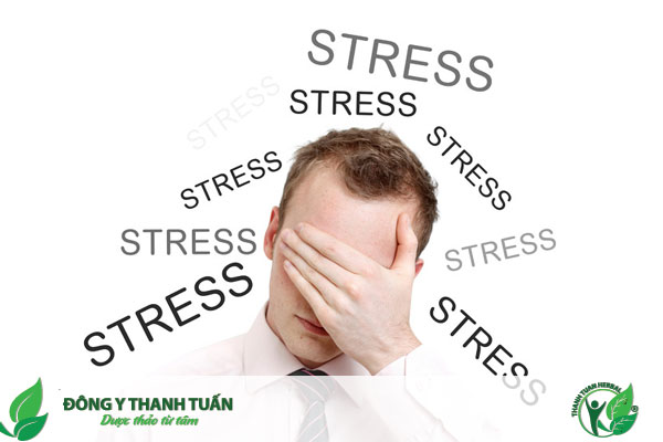 Stress là nguyên nhân dẫn đến mất ngủ trầm trọng