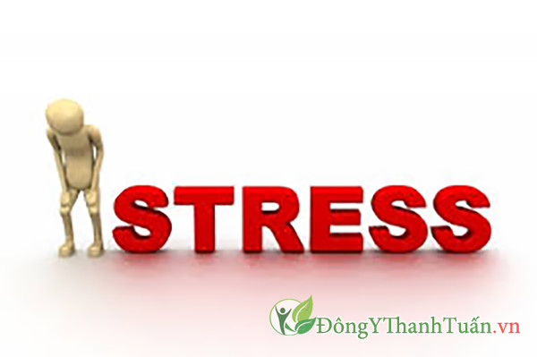 Stress là một trong số những nguyên nhân gây tiểu đêm