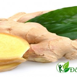 4 cách chữa đau dạ dày đơn giản bằng phương pháp dân gian