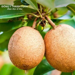 5 Cách chữa tiêu chảy tại nhà hiệu quả ai cũng cần biết