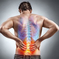 5 nguyên nhân gây lưng đau