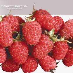 7 Thực phẩm tốt cho người cao huyết áp có thể bạn chưa biết