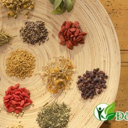 Cách chữa viêm nha chu bằng thuốc cổ truyền