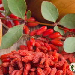 Cách điều trị tiểu đêm nhiều lần với bài thuốc dân gian