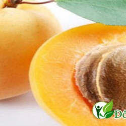 Chia sẻ 4 cách chữa đau dạ dày đơn giản mà hiệu quả