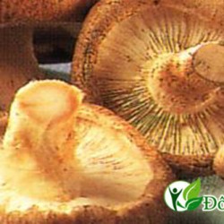 Chữa Đau Răng Hiệu Quả Bằng Thực Phẩm