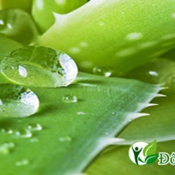 Phương Pháp Chữa Đau Sâu Răng Đúng Cách