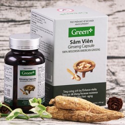 Có thể bạn chưa biết? Nguồn gốc sâm Wisconsin Hoa Kỳ