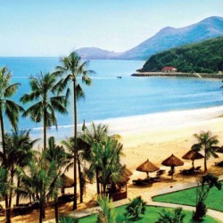 Địa chỉ tư vấn và bán thuốc điều trị đau gót chân ở đâu tốt tại Nha Trang, Khánh Hòa.