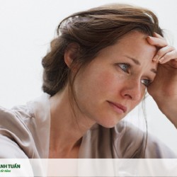 Đối tượng sử dụng nhân sâm Wisconsin Hoa Kỳ