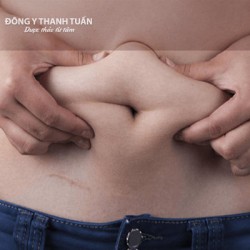 Giải pháp điều trị bằng Đông y cho người bị mỡ trong máu