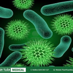 Hiệu quả của việc sử dụng vi sinh vật trong phòng ngừa và điều trị Covy