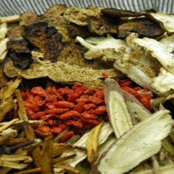 Hướng dẫn cách chữa bệnh đau dạ dày bằng thuốc nam hiệu quả nhất