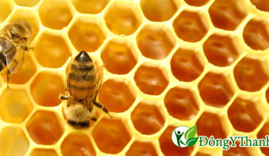 [Infographic] Tổng hợp những cách chữa hôi miệng bằng mật ong