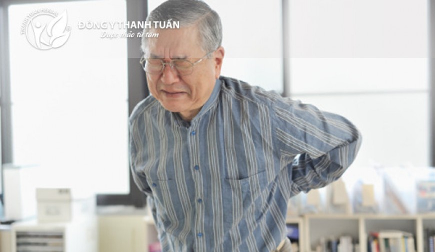 Làm gì để khắc phục triệu chứng đau mỏi lưng ở người cao tuổi?