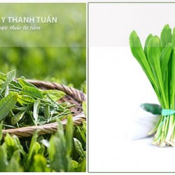 Mẹo làm thơm miệng với thảo dược Đông y