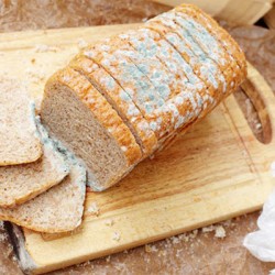 Một số loại thực phẩm gây hại cho gan