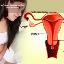 Nên ăn uống gì để điều hòa kinh nguyệt?