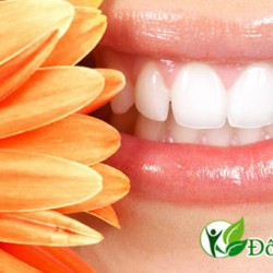 Nguyên nhân chảy máu chân răng thường xuyên