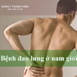 Nguyên nhân nào gây bệnh đau lưng ở nam giới?