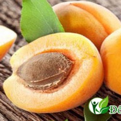 Một số cách chữa đau dạ dày bằng phương pháp dân gian