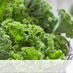 Những loại thực phẩm tuyệt vời giúp cải thiện xương khớp