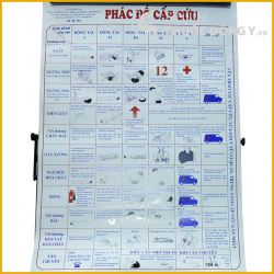Phác Đồ Chẩn Đoán Và Xử Lý Sốc Phản Vệ Theo Tiêu Thuẩn Bộ Y Tế