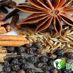 Tiết lộ cùng bạn bài thuốc chữa đau răng hiệu quả