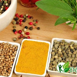 Tìm hiểu về các dược thảo dùng làm thuốc chữa viêm nha chu