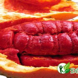 Top 3 bài thuốc chữa viêm xoang hay nhất