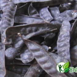 Tuyệt diệu với cách chữa đau răng hiệu quả mà bạn chưa biết