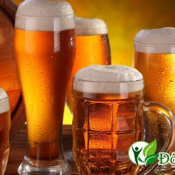 Vì sao người viêm dạ dày cần kiêng uống rượu bia?